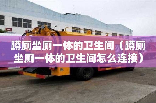 蹲廁坐廁一體的衛生間（蹲廁坐廁一體的衛生間怎么連接）
