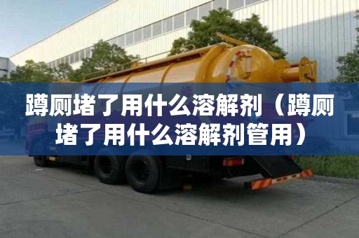 蹲廁堵了用什么溶解劑（蹲廁堵了用什么溶解劑管用）