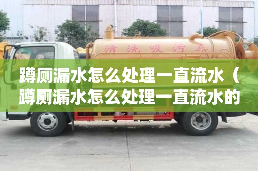 蹲廁漏水怎么處理一直流水（蹲廁漏水怎么處理一直流水的）