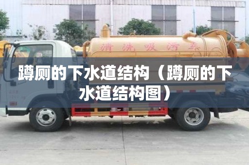 蹲廁的下水道結(jié)構(gòu)（蹲廁的下水道結(jié)構(gòu)圖）