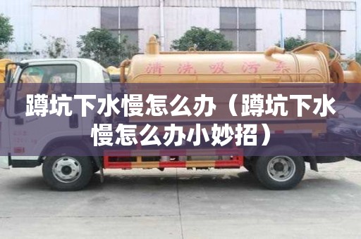 蹲坑下水慢怎么辦（蹲坑下水慢怎么辦小妙招）