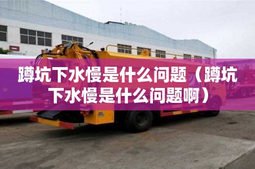 蹲坑下水慢是什么問題（蹲坑下水慢是什么問題?。? >
                        </div>
                        <div   id=