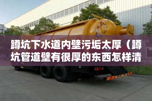 蹲坑下水道內壁污垢太厚（蹲坑管道壁有很厚的東西怎樣清除）