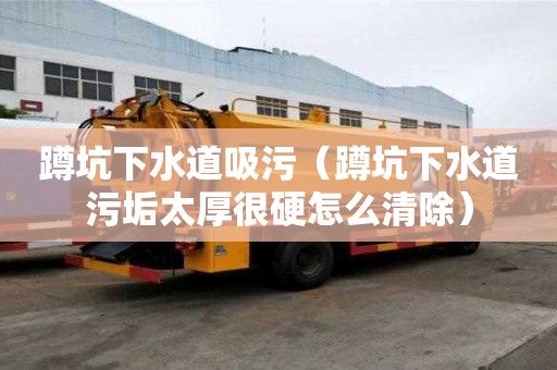 蹲坑下水道吸污（蹲坑下水道污垢太厚很硬怎么清除）