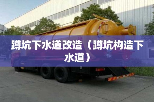 蹲坑下水道改造（蹲坑構造下水道）