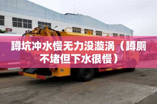 蹲坑沖水慢無力沒漩渦（蹲廁不堵但下水很慢）