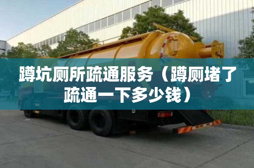蹲坑廁所疏通服務(wù)（蹲廁堵了疏通一下多少錢）