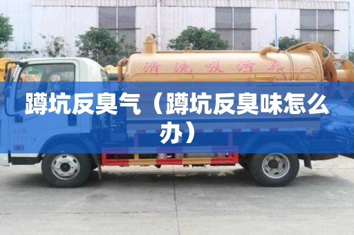 蹲坑反臭氣（蹲坑反臭味怎么辦）