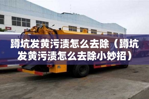 蹲坑發(fā)黃污漬怎么去除（蹲坑發(fā)黃污漬怎么去除小妙招）