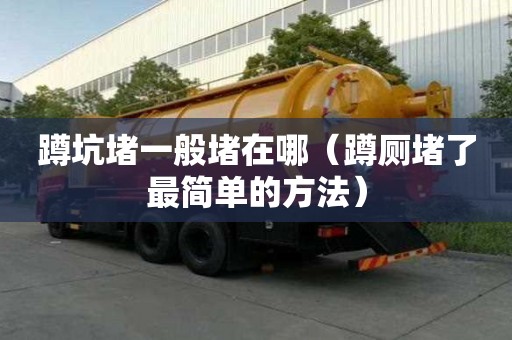 蹲坑堵一般堵在哪（蹲廁堵了最簡單的方法）