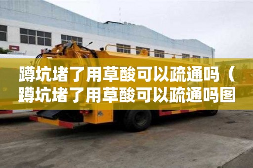 蹲坑堵了用草酸可以疏通嗎（蹲坑堵了用草酸可以疏通嗎圖片）