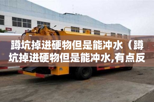 蹲坑掉進硬物但是能沖水（蹲坑掉進硬物但是能沖水,有點反水怎么辦）