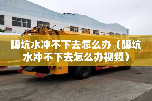 蹲坑水沖不下去怎么辦（蹲坑水沖不下去怎么辦視頻）