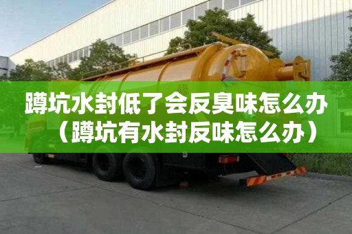 蹲坑水封低了會(huì)反臭味怎么辦（蹲坑有水封反味怎么辦）