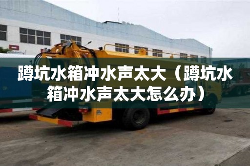 蹲坑水箱沖水聲太大（蹲坑水箱沖水聲太大怎么辦）