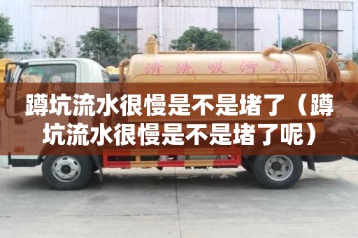 蹲坑流水很慢是不是堵了（蹲坑流水很慢是不是堵了呢）