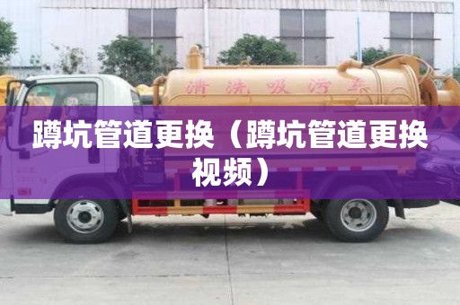 蹲坑管道更換（蹲坑管道更換視頻）
