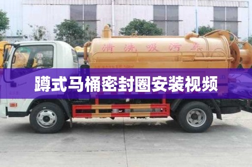 蹲式馬桶密封圈安裝視頻