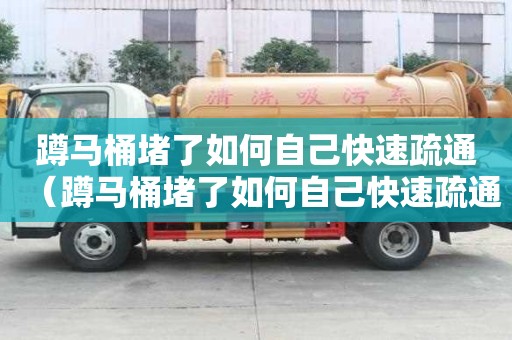 蹲馬桶堵了如何自己快速疏通（蹲馬桶堵了如何自己快速疏通 大便）