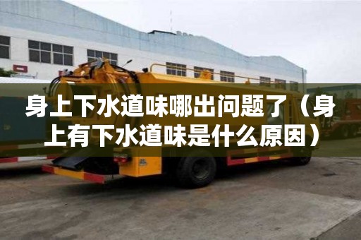 身上下水道味哪出問題了（身上有下水道味是什么原因）