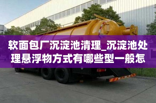 軟面包廠沉淀池清理_沉淀池處理懸浮物方式有哪些型一般怎么收費