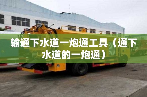 輸通下水道一炮通工具(通下水道的一炮通) 輸通下水道一炮通工具(通下水道的一炮通)