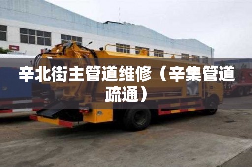 辛北街主管道維修（辛集管道疏通）