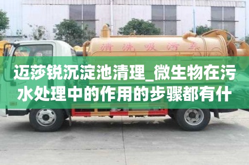邁莎銳沉淀池清理_微生物在污水處理中的作用的步驟都有什么