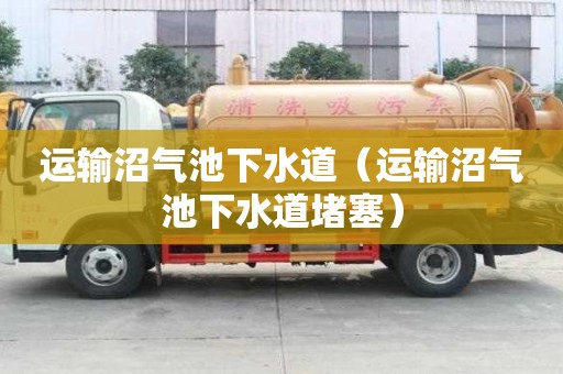 運輸沼氣池下水道（運輸沼氣池下水道堵塞）