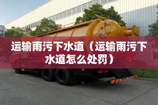 運輸雨污下水道（運輸雨污下水道怎么處罰）