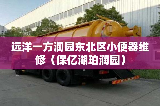 遠洋一方潤園東北區小便器維修（保億湖珀潤園）