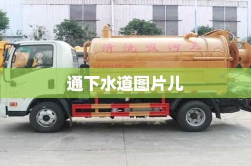 通下水道圖片兒 通下水道圖片兒