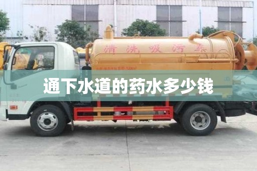 通下水道的藥水多少錢