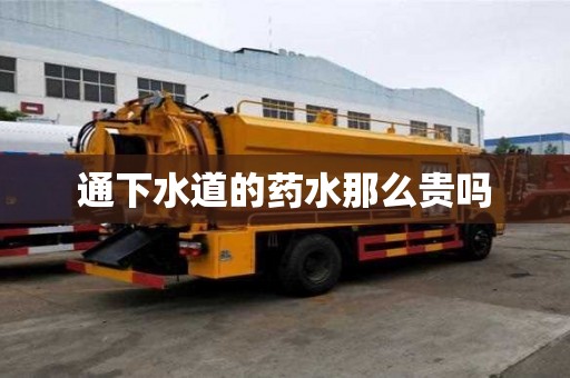 通下水道的藥水那么貴嗎