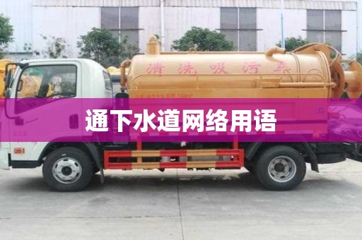通下水道網絡用語