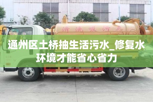 通州區(qū)土橋抽生活污水_修復(fù)水環(huán)境才能省心省力