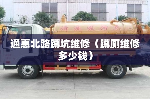 通惠北路蹲坑維修（蹲廁維修多少錢）