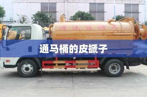 通馬桶的皮搋子