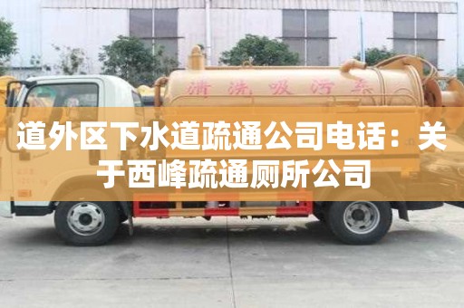 道外區(qū)下水道疏通公司電話：關(guān)于西峰疏通廁所公司