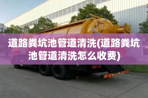 道路糞坑池管道清洗(道路糞坑池管道清洗怎么收費)
