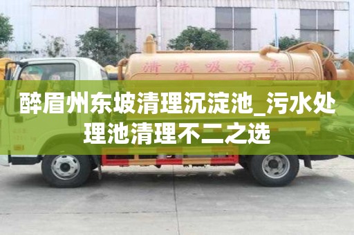 醉眉州東坡清理沉淀池_污水處理池清理不二之選