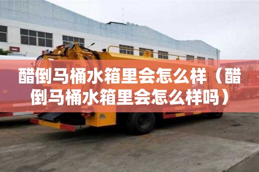醋倒馬桶水箱里會怎么樣（醋倒馬桶水箱里會怎么樣嗎）