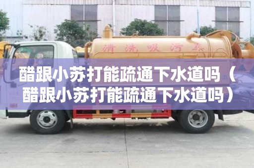 醋跟小蘇打能疏通下水道嗎（醋跟小蘇打能疏通下水道嗎）