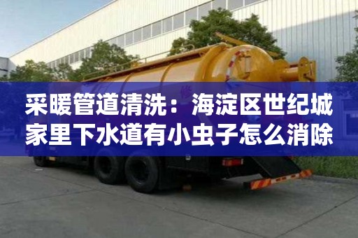 采暖管道清洗：海淀區(qū)世紀(jì)城家里下水道有小蟲子怎么消除