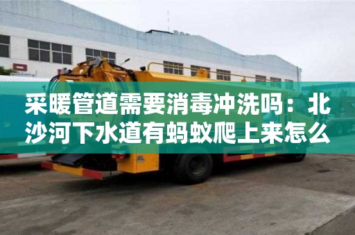 采暖管道需要消毒沖洗嗎：北沙河下水道有螞蟻爬上來怎么處理