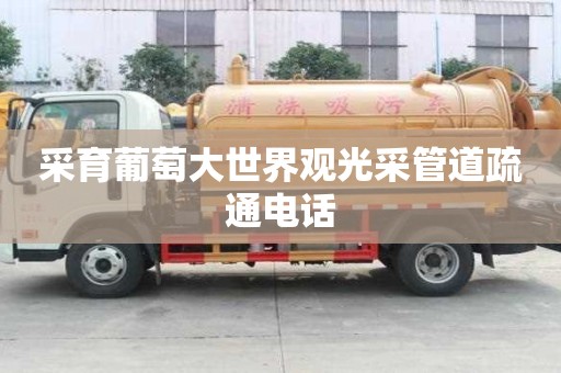 采育葡萄大世界觀光采管道疏通電話