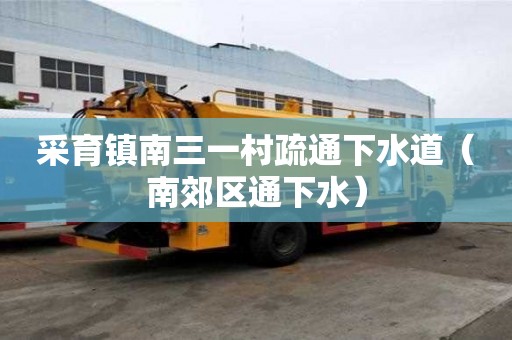 采育鎮南三一村疏通下水道（南郊區通下水）