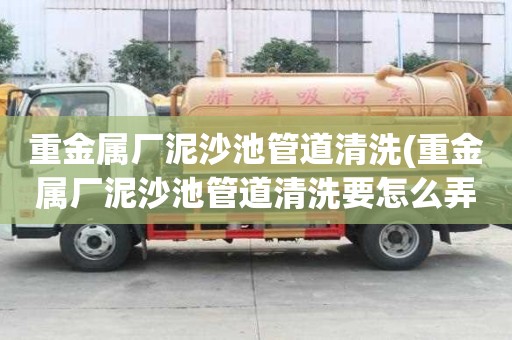 重金屬?gòu)S泥沙池管道清洗(重金屬?gòu)S泥沙池管道清洗要怎么弄)