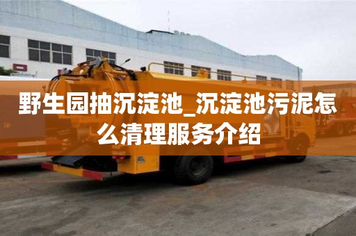 野生園抽沉淀池_沉淀池污泥怎么清理服務(wù)介紹