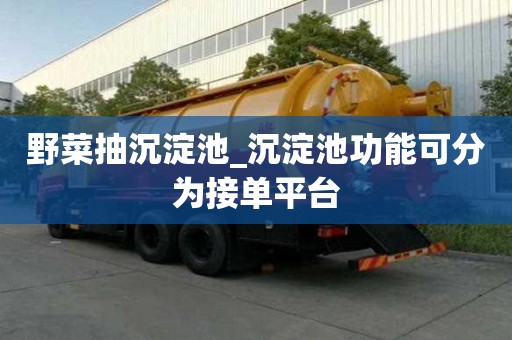 野菜抽沉淀池_沉淀池功能可分為接單平臺